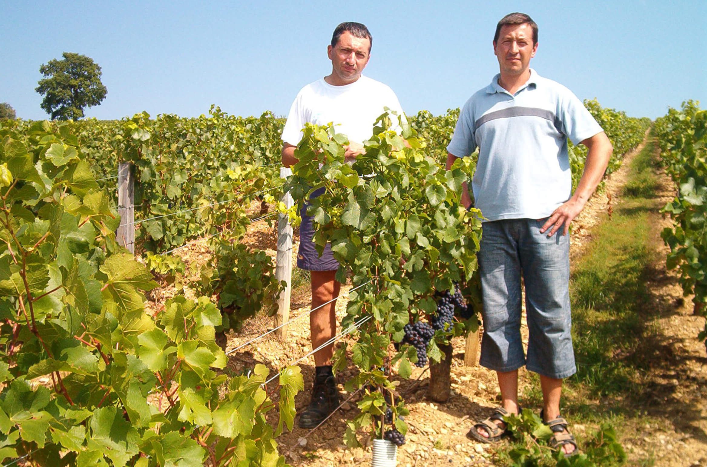 Pierre-Yves et Olivier FICHET sur dans les vignes 2005